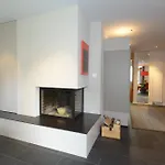 Schweizerhof 6 דירה